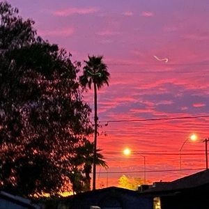 Meet your Posher, Daliana